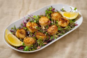 Seared Scallops