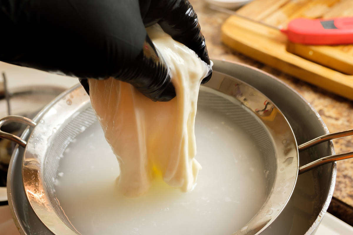 Cheesemaking - EggPlant Urban Farm Supply